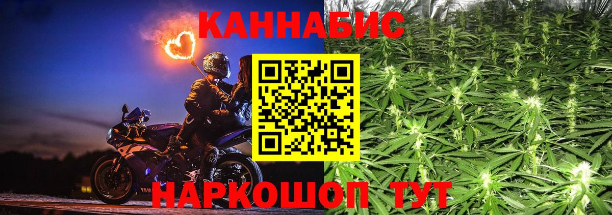 Бошки Шишки VHQ Кингисепп